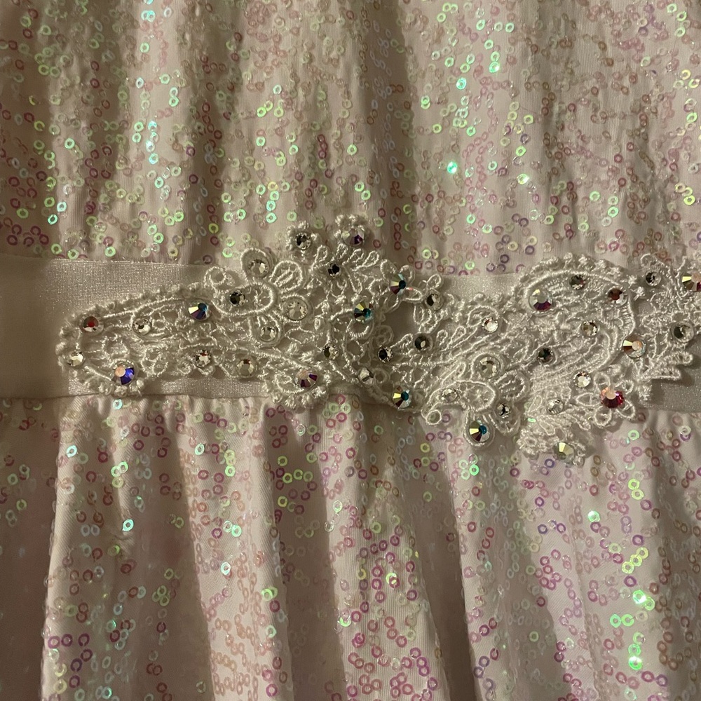 Custom Dance Costume - Picture 3 of 4